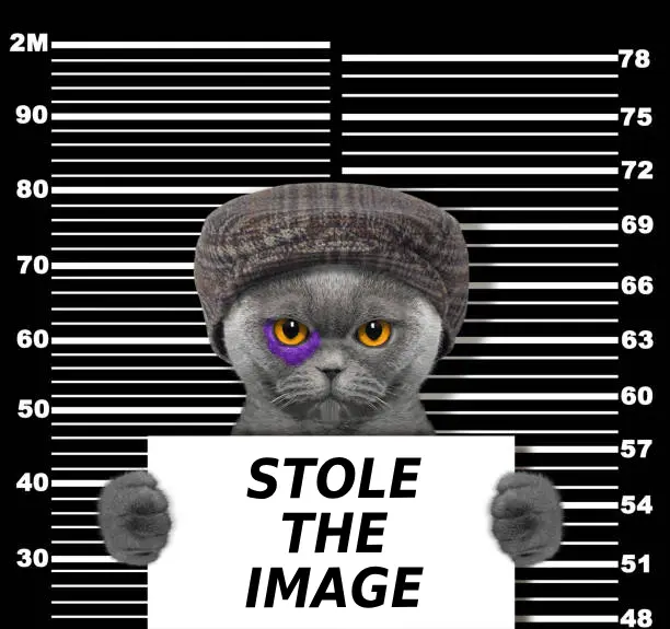 Chancellor — зображення